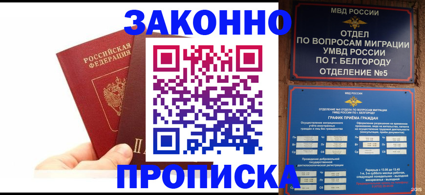 временная регистрация для школы в Белгородской области